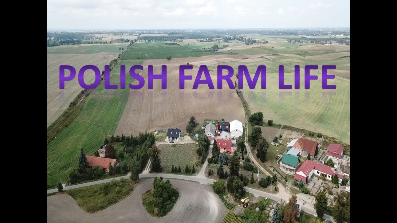 Polish Farm Life - Vlog 85