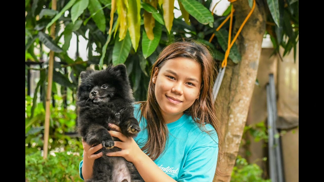 Portrait Photography Nikon D7200 Sigma Art 50mm 1.4 || DJIA5pro pov || Feb. 9, 2025. Cavite.