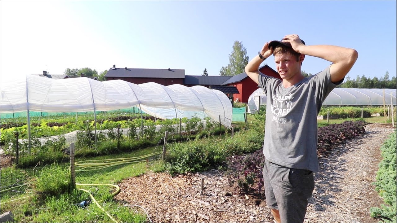 A Glimpse into Farm Life: A Day with an Apprentice