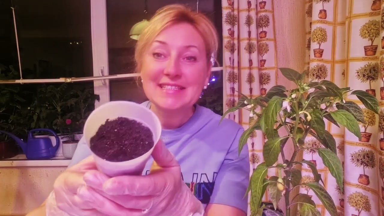 Сажаем перцы!!!!!