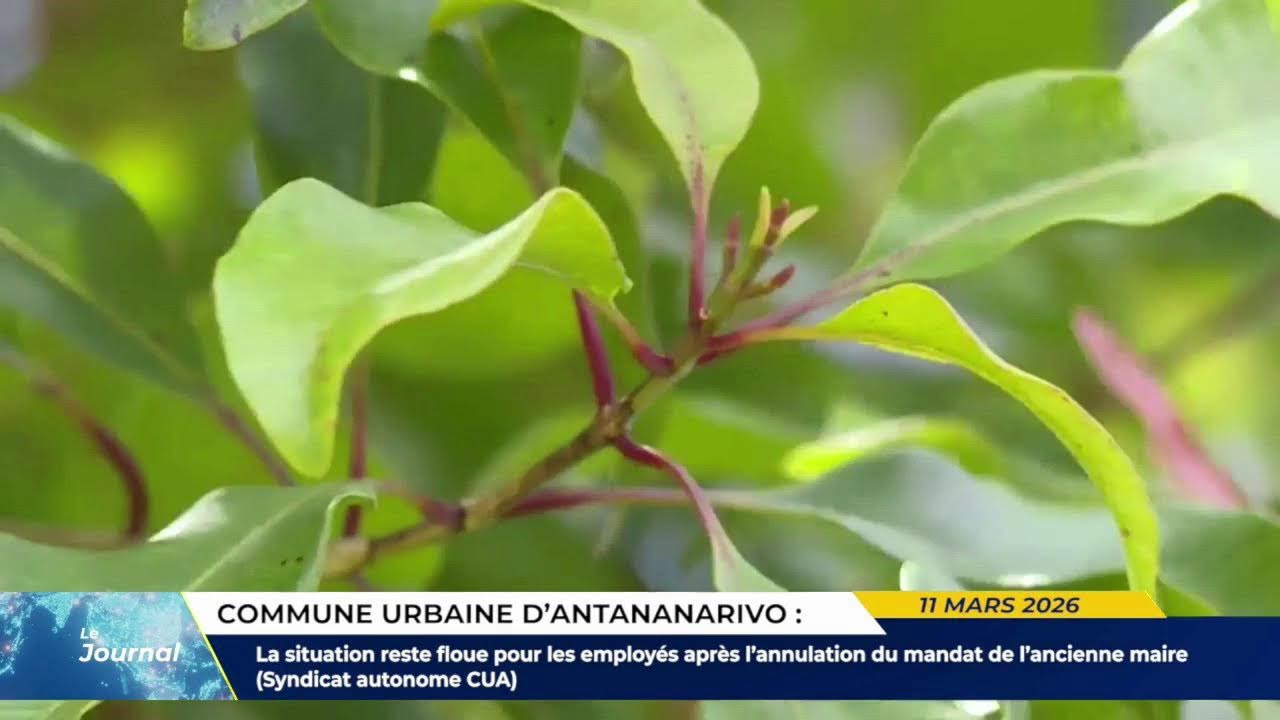 LE JOURNAL LIVE DU 11 MARS 2026 BY TV PLUS MADAGASCAR