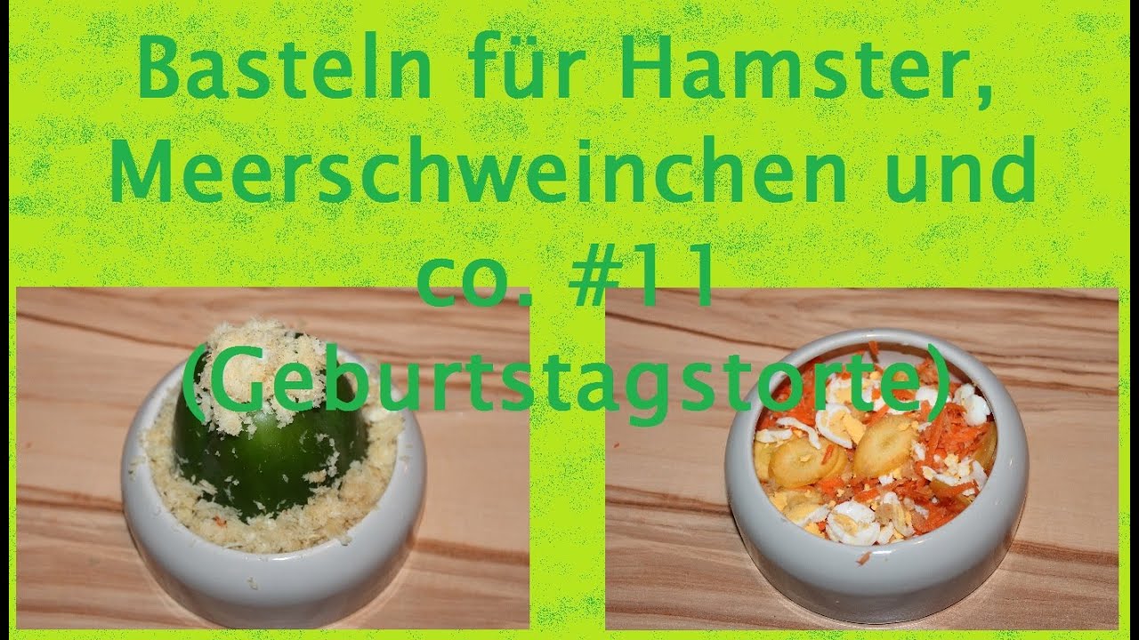 DIY Basteln für Hamster, Meerschweinchen und co #12 Geburtstagstorte