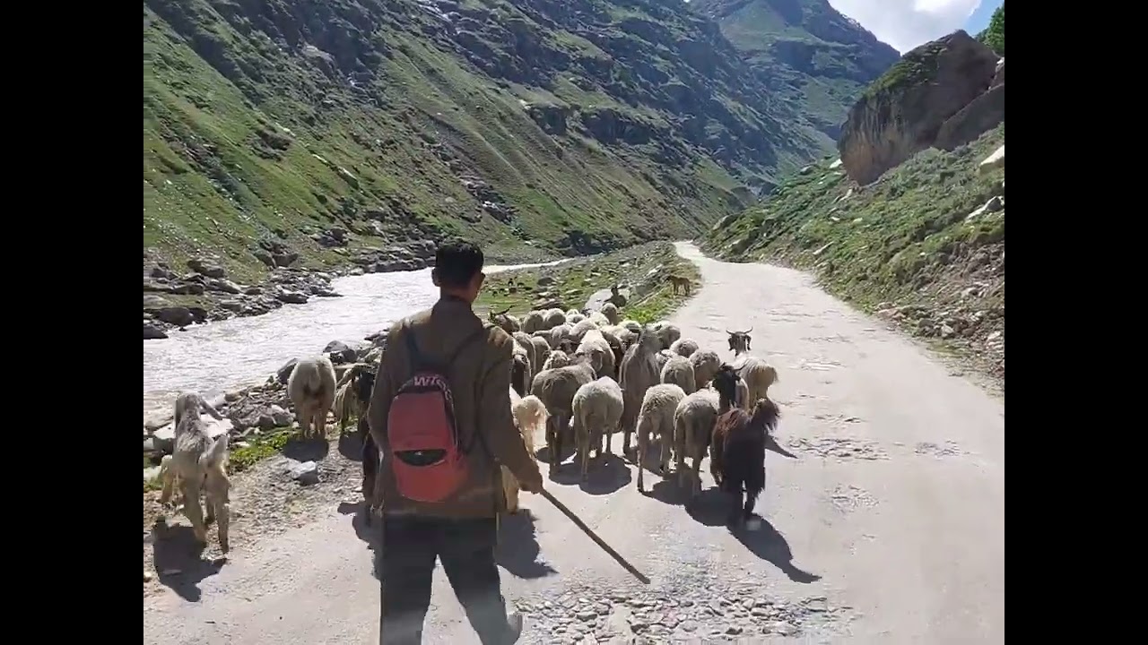 Khoksar to Chandrataal (via Chhatru, Batal Station) | Spiti Valley | Himachal T02D05