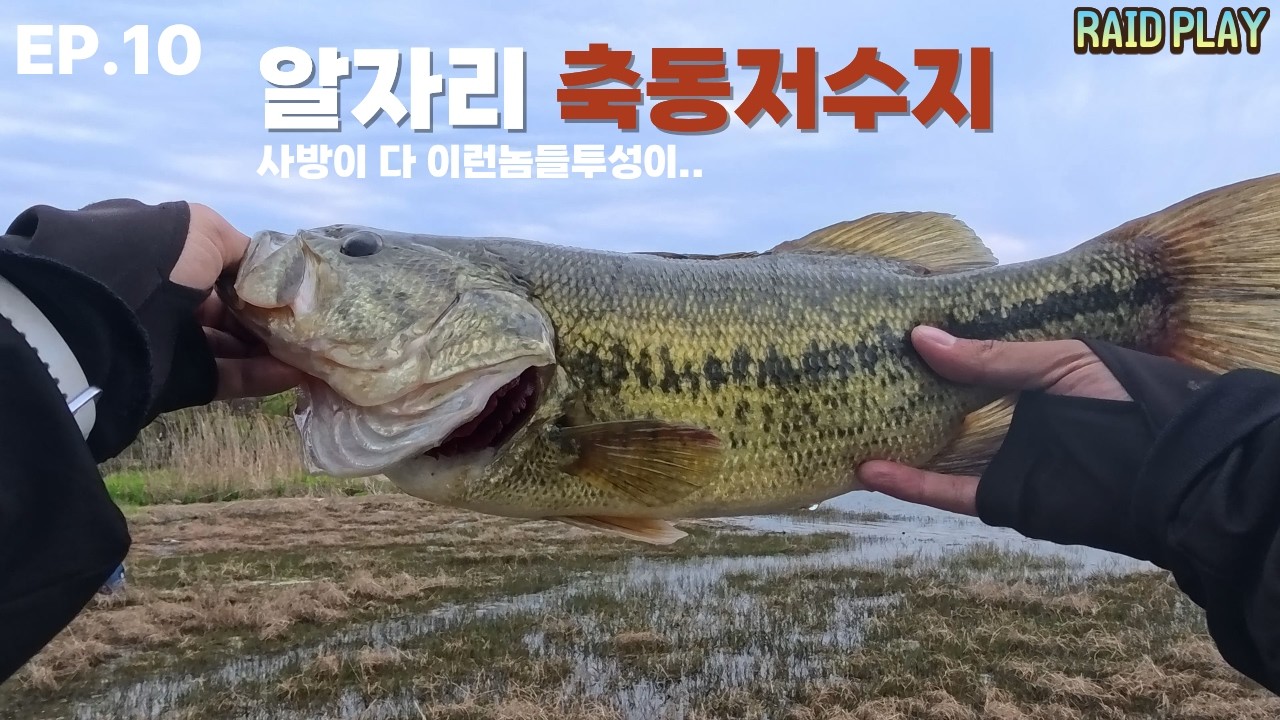 EP.10 알자리 축동저수지 사방이 알자리임..