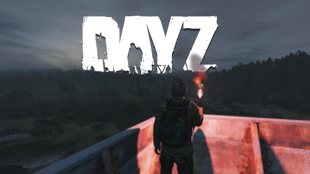 My DayZ 1.04 Experience