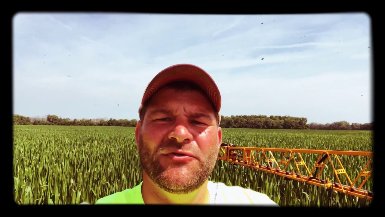 Happy Independence Day from Brooks Cardinal!