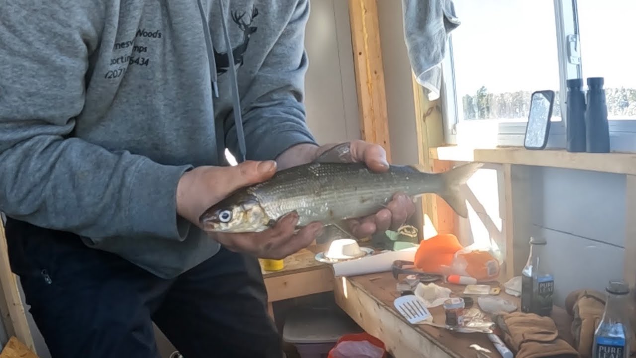 Jigging Whitefish on East Grand (HISEA Boots)