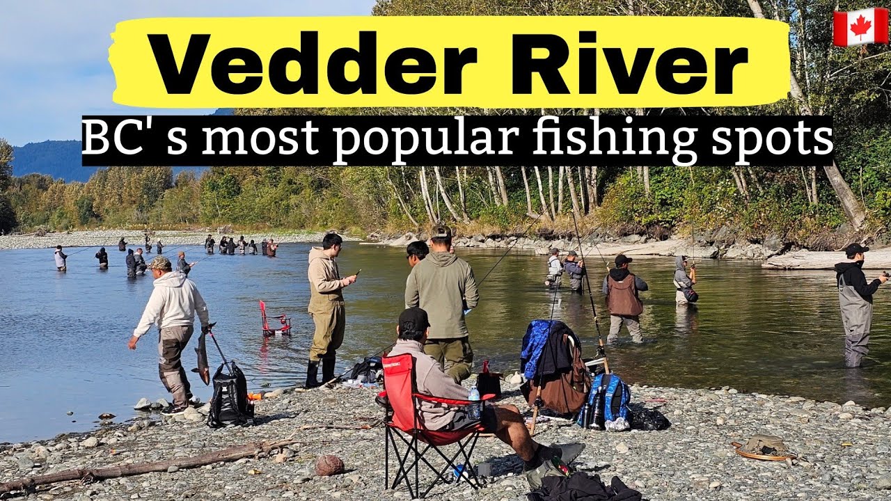 349🇨🇦 Vedder River | BC&rsquo;s most popular fishing spots