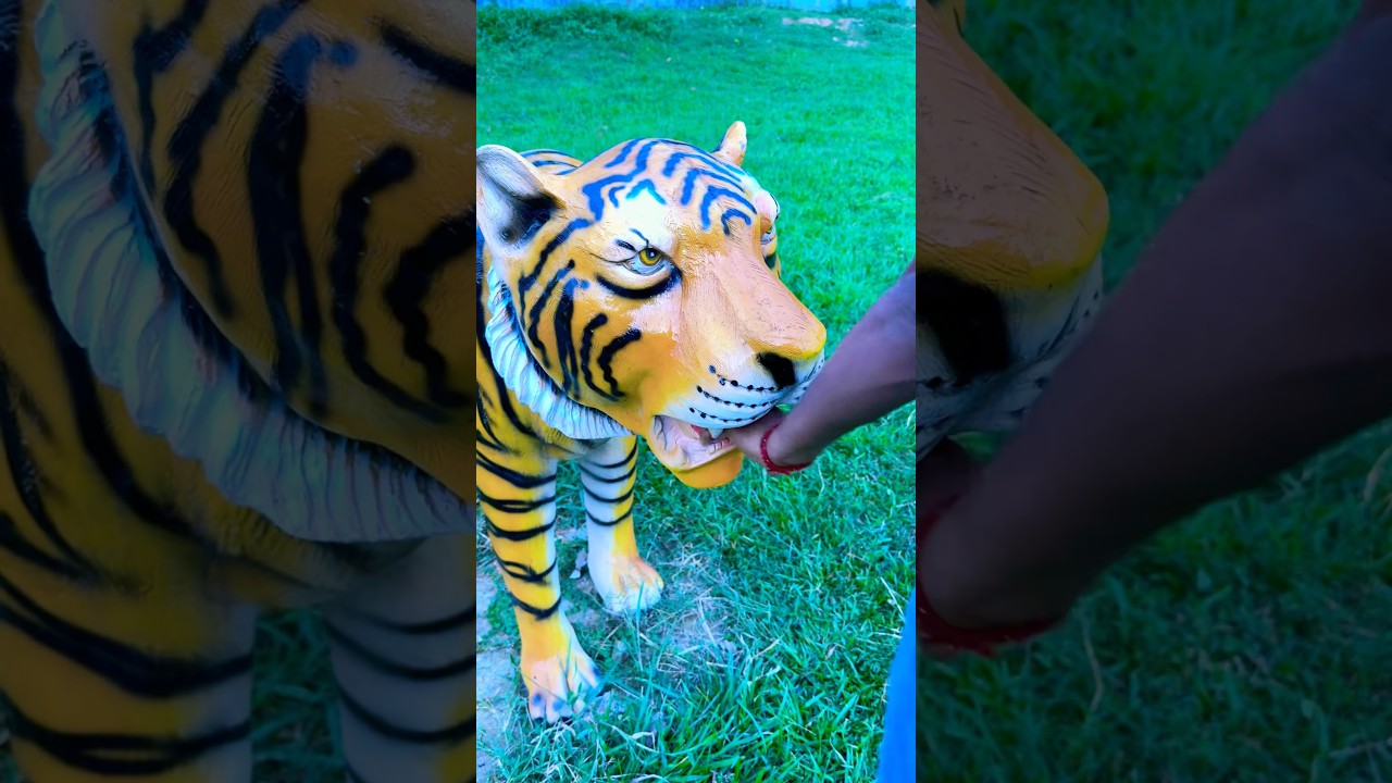Tiger ne kat liyaa 🐯🤗🤪🤣 