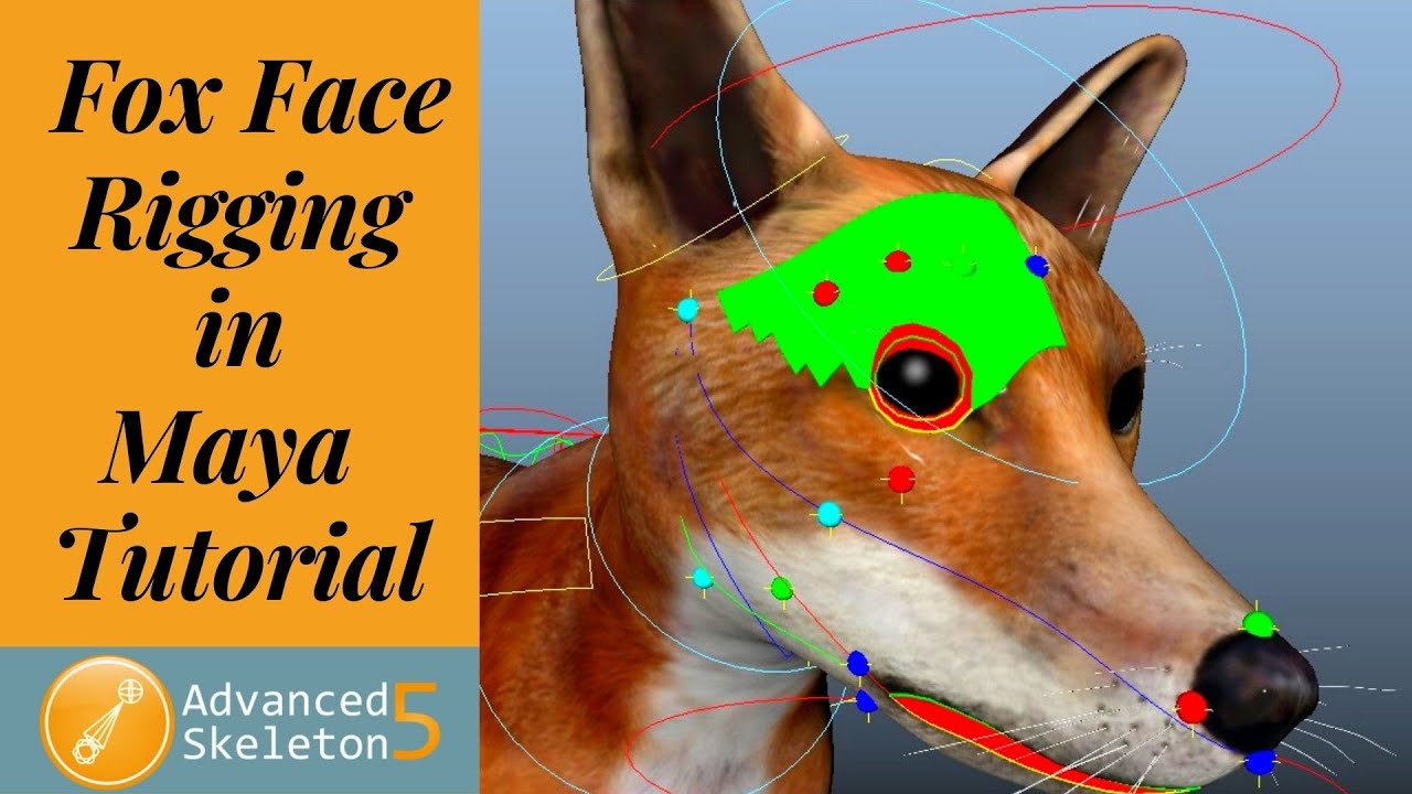 Fox Rigging in Maya / Advanced Skeleton Setup / Part -3 of 3