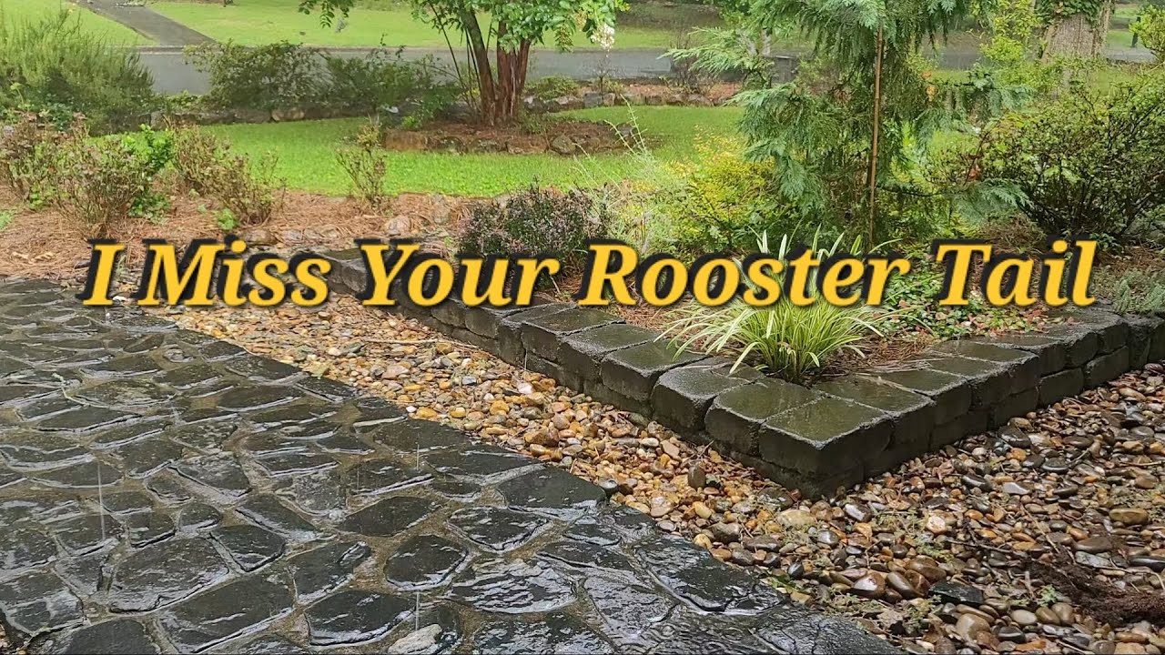 I Miss Your Rooster Tail