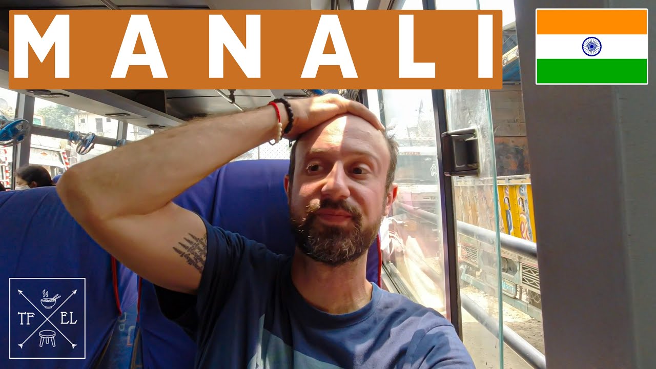 BRUTAL BUS JOURNEY into HIMALAYAS 🇮🇳 | Manali Travel Vlog, India Travel Vlog