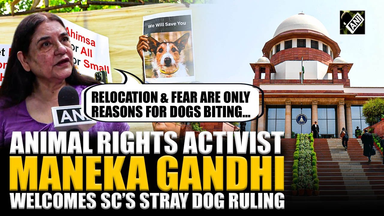 Maneka Gandhi praises Supreme Court’s stray dog order, calls for clear 'aggressive dog' definition