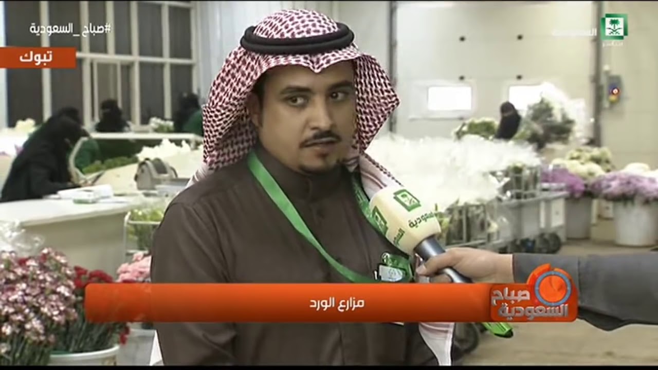 نقل مباشر من تبوك من مزارع الورد