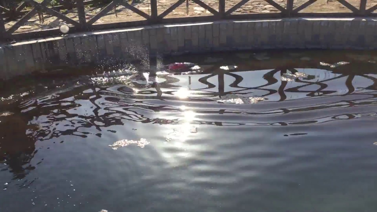 Rc boAt h101
