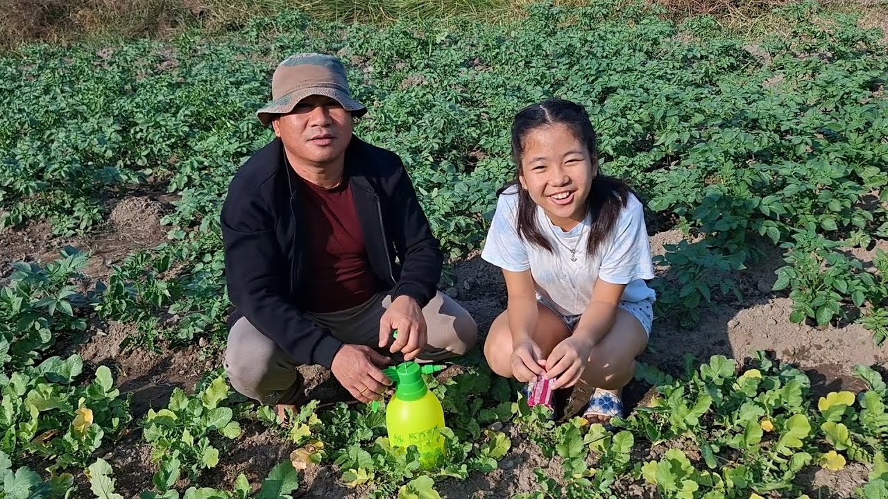 हामी बाबा छोरी आज करेसा बारी तिर है त।