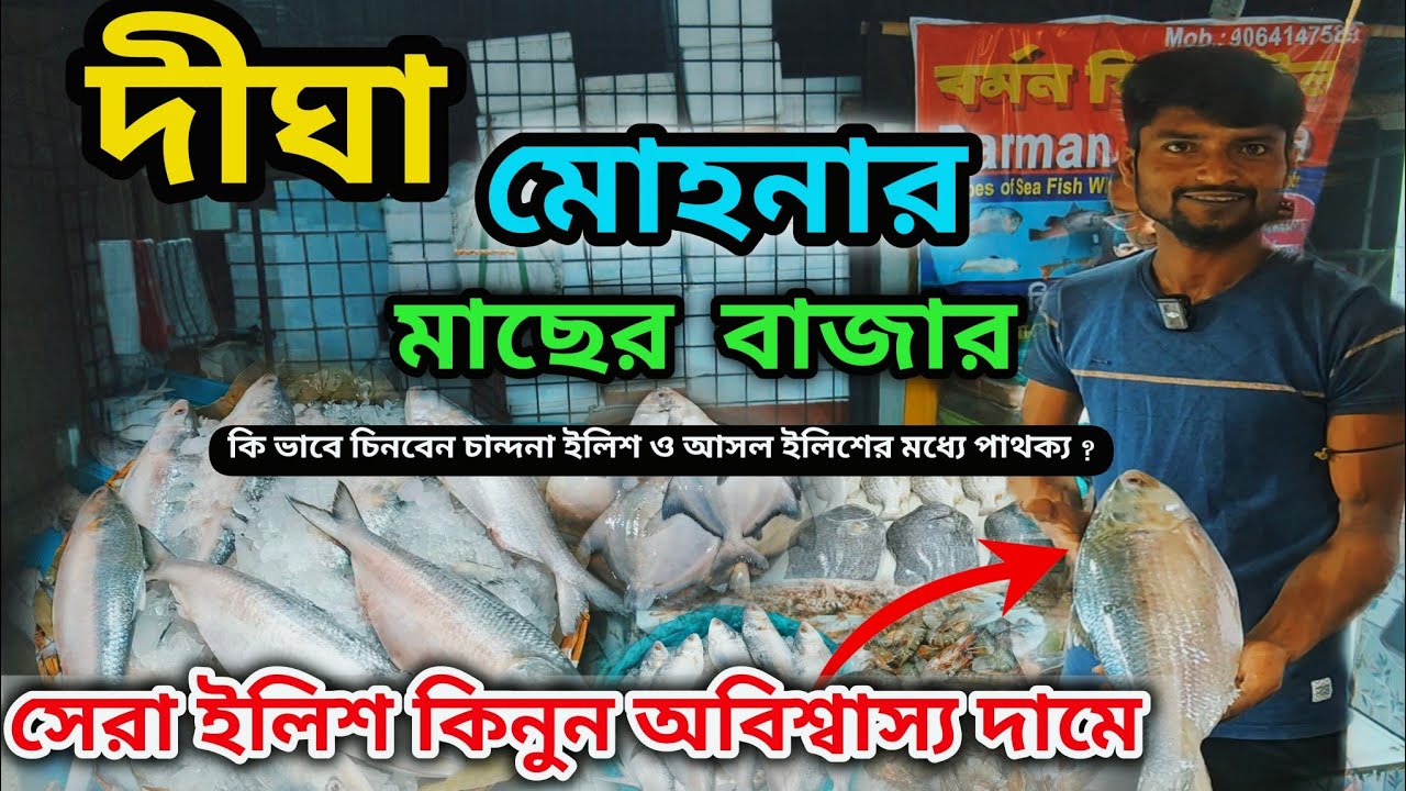 Digha Fish Market 2025 | Fish Market Digha Mohona | Digha Wholsale Fish Market | Digha Mohona Fish |