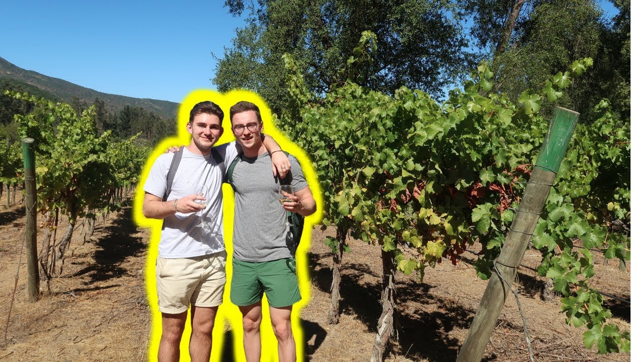 VISITING A BOUTIQUE VINEYARD IN CASABLANCA, CHILE  (WINE TASTING)