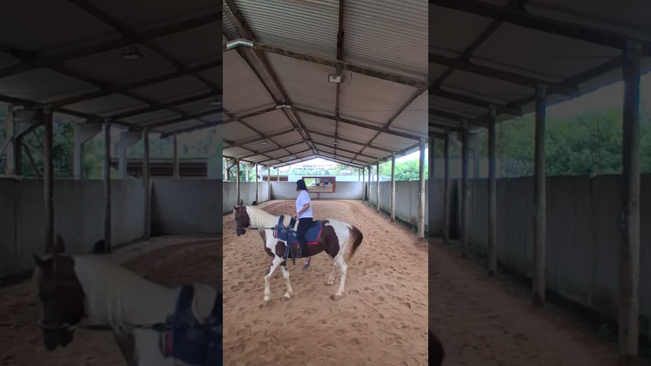 Aula volteio iniciante 