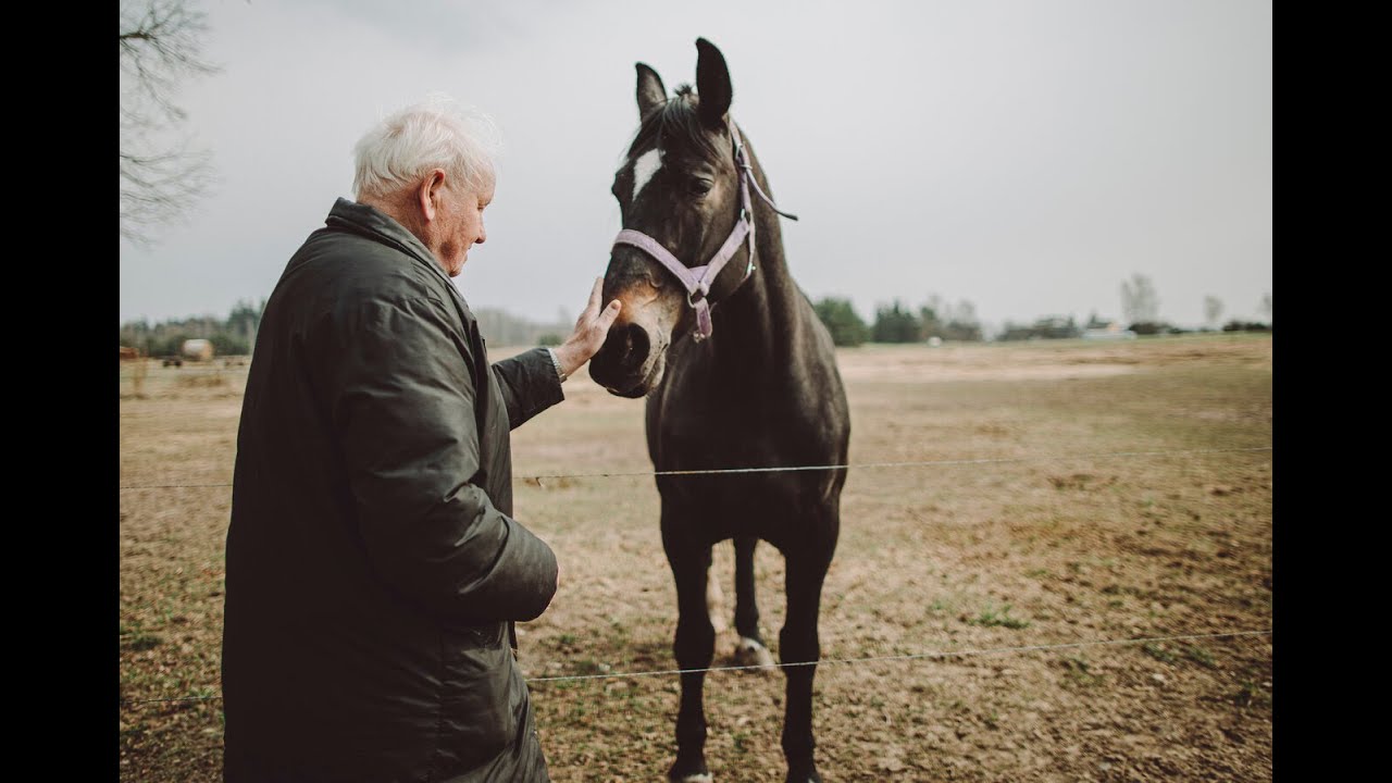 Lietuvoje liko tik vienas toks specialistas: rimorius. IŠLIKĘ