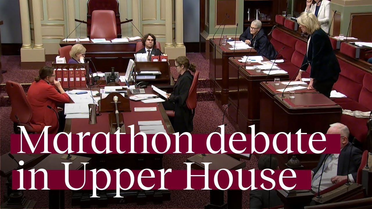 Anti-vilification reforms pass parliament