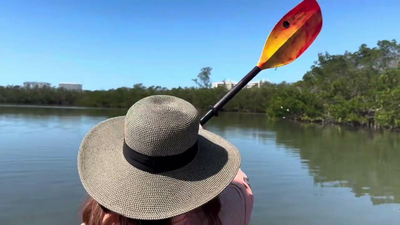In The Mangroves - Florida Kayak Trip - Florida Travel and Sightseeing  
