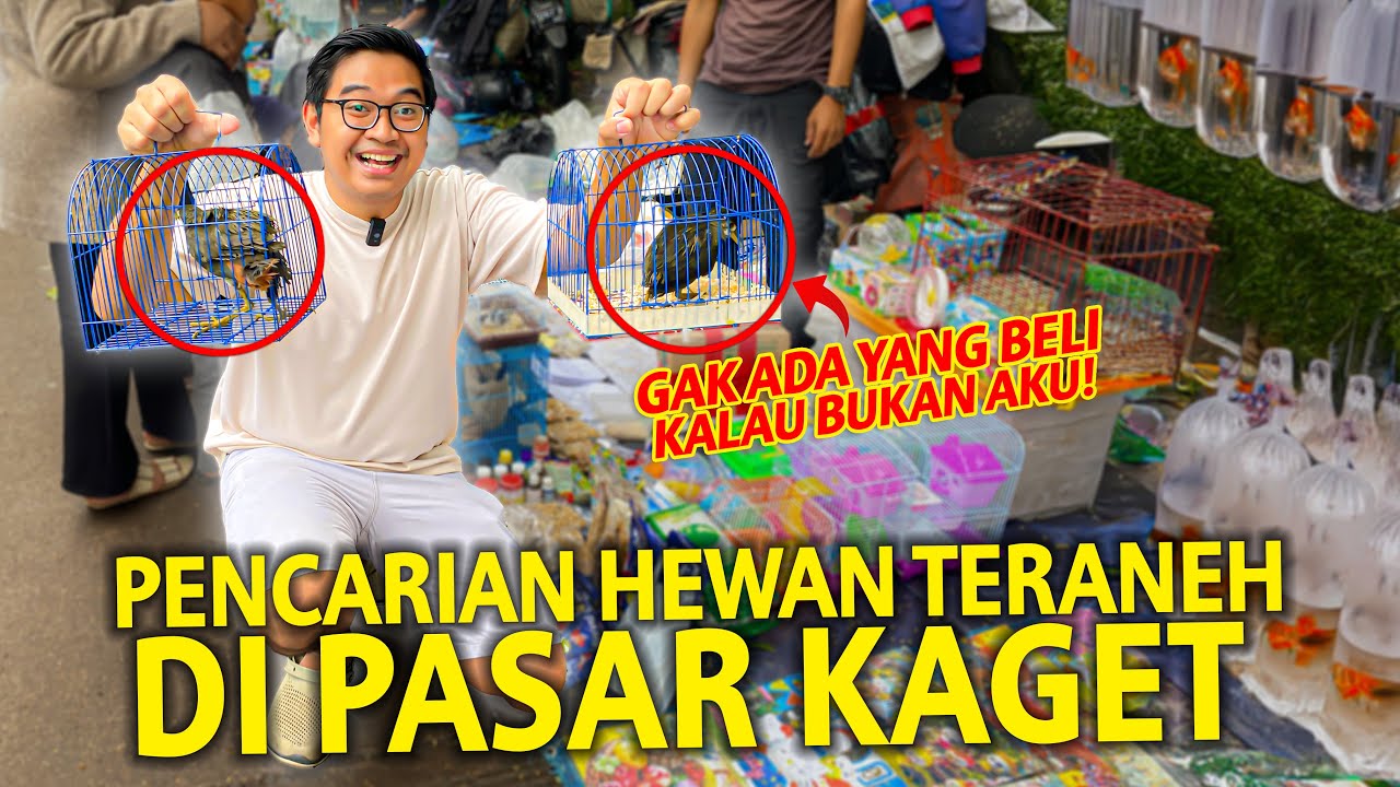 AKU BELI HEWAN PALING GAK MASUK AKAL YANG ADA DI PASAR KAGET! INI SIH ANEH BANGET ADA DI PASAR KAGET