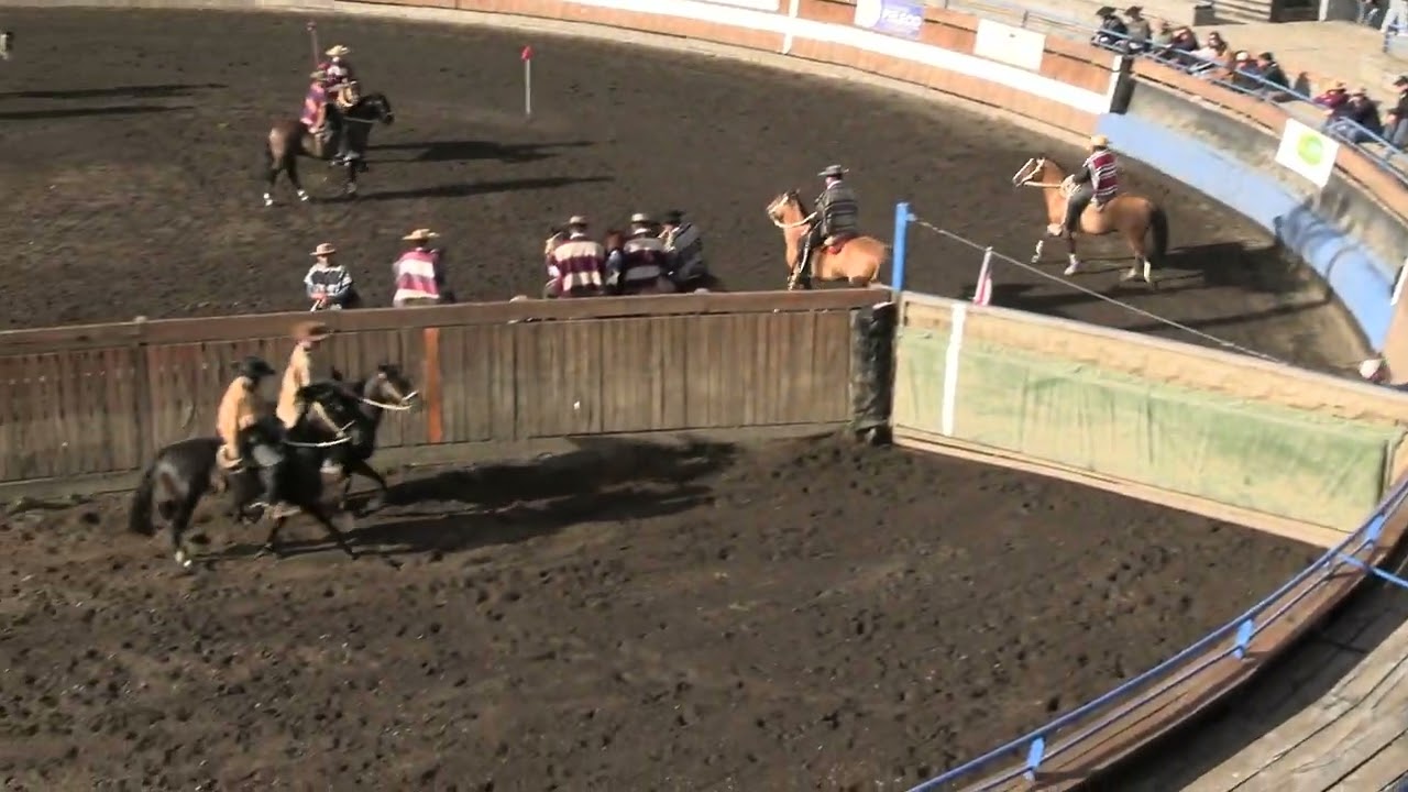 T. 25/26 | Rodeo Curacautín | Serie Criaderos | 14 y 15 febrero