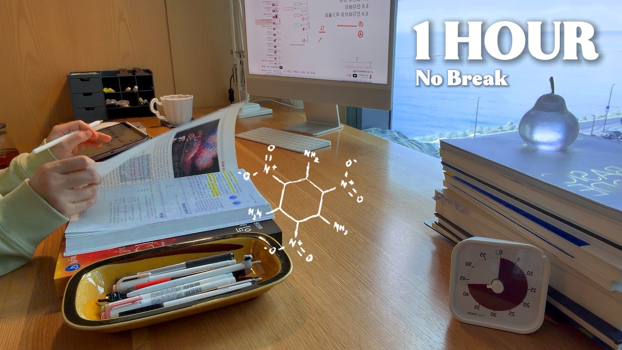Study with Natural Sounds 🌿ㅣ1 Hour Deep FocusㅣNo Breakㅣ아침 바다와 함께 1시간 집중
