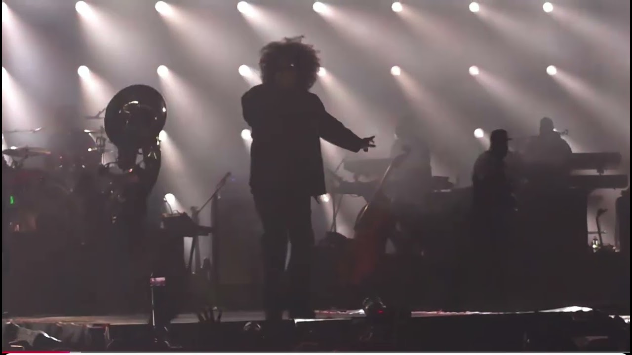 Jay  Z Roots picnic (full set)