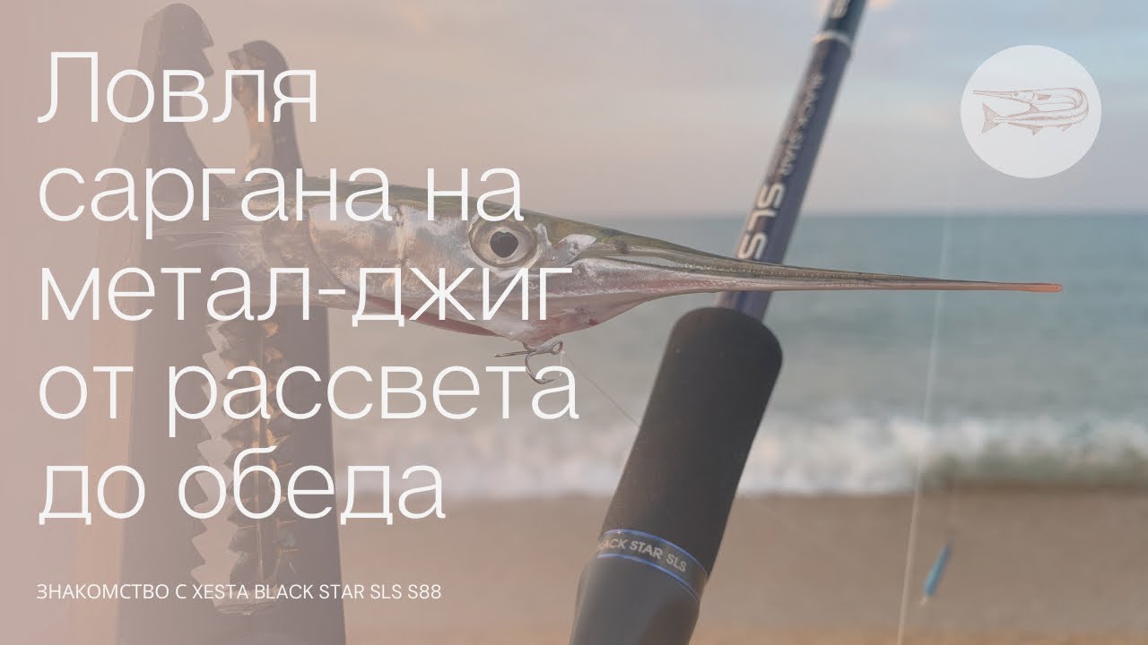 Ловля саргана на метал-джиг от рассвета до обеда! Знакомство с Xesta SLS S88. Чёрное море. Анапа