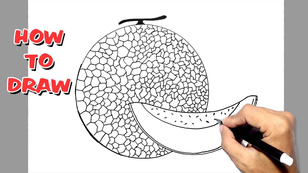 How to Draw Cantaloupe || easy drawing