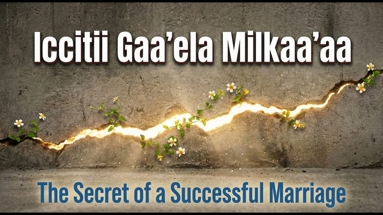 Gaa'elaa fi Oogummaa - Seminaarii Zoom - Kutaa 2ffa/ Marriage and Wisdom - Zoom Seminar - Part 2