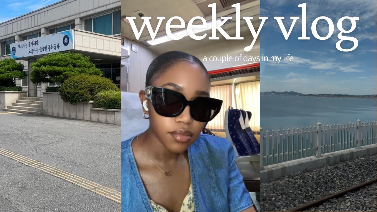 Life in Korea 🇰🇷: Visiting Korea Customs Office, 10 Day Diet Plan, Grocery Haul & Unbraiding 