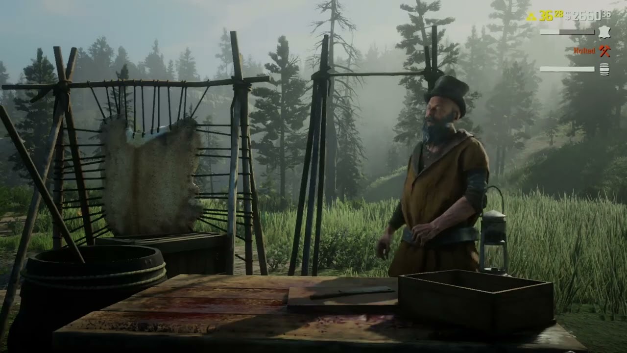 Late morning RDR2