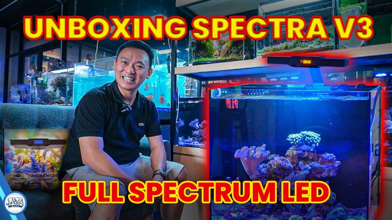 AQUA KNIGHT V3 - HARGA MURAH + PROMO !!