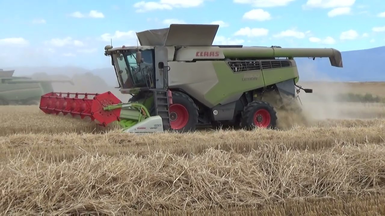 Vron Wheat Harvest 2026 Part 3