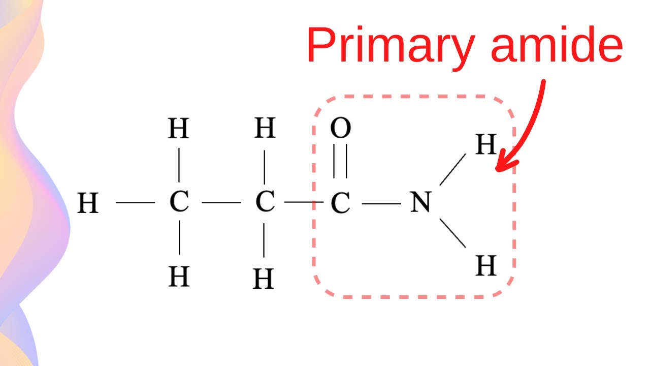 Amides: Structure and Properties // HSC Chemistry