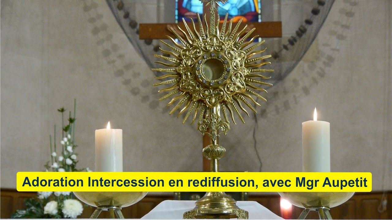 [25_11h] Adoration avec Mgr Aupetit (extrait du magnifique temps du 4 Octobre)