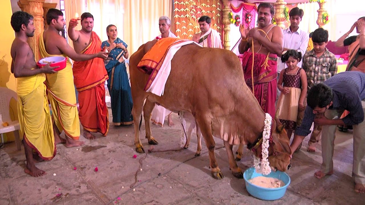 GO POOJA_GHO POOJA_GO PUJA(COW) #gomatha pooja #jai gomatha #గోమాత