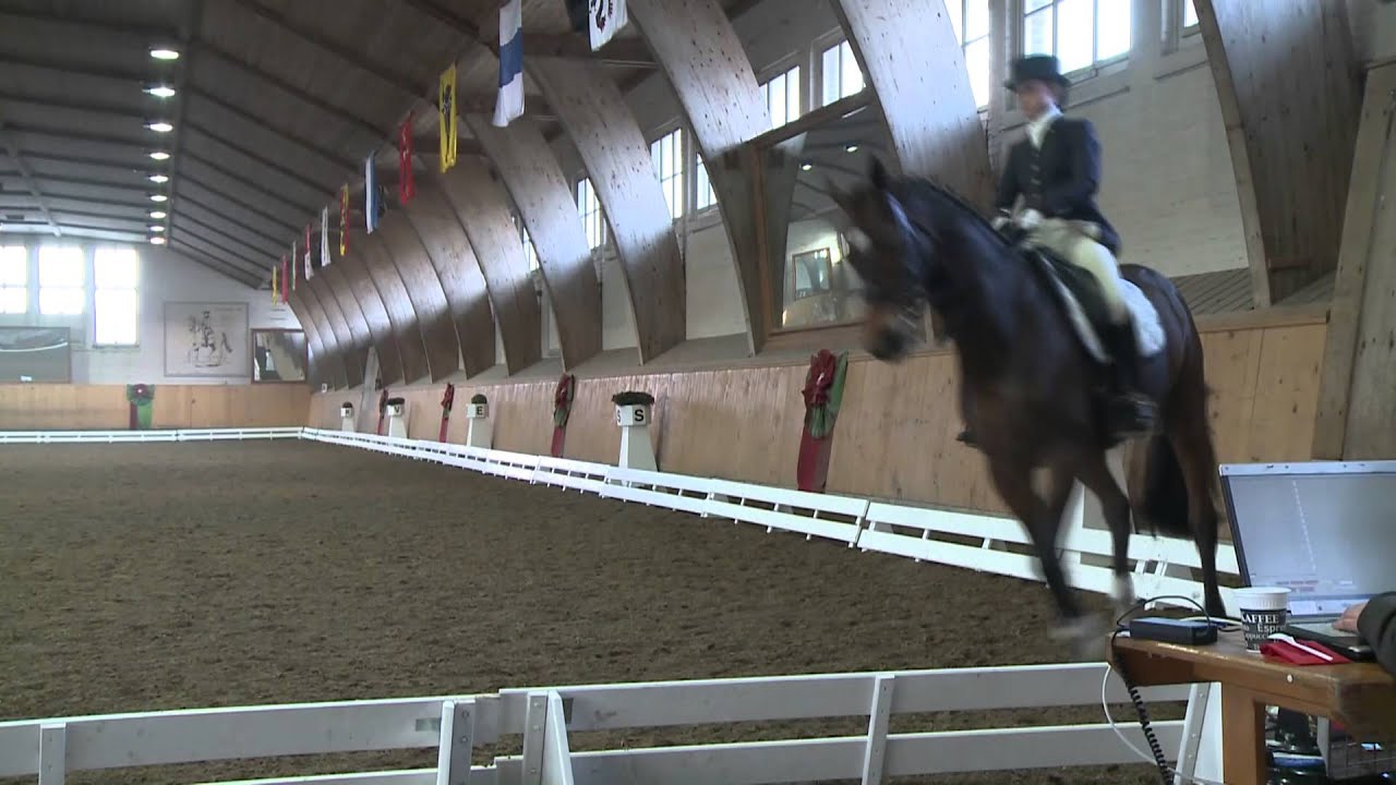 Stefanie Scheitlin mit Legolas III in Slowmotion  M24  NPZ 2013