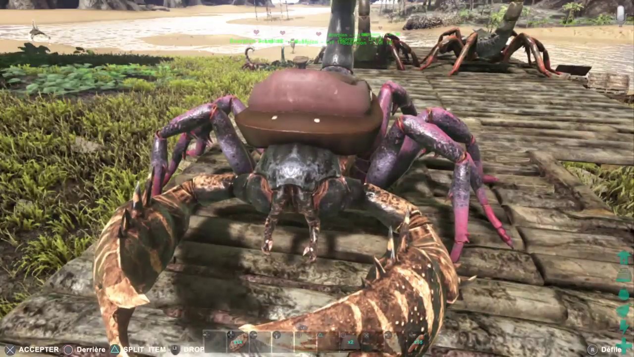 [ARK] [Tuto] [PS4,PC,ONE] [FR] Ferme Oeufs de scorpions - Objectif tamage REX facile