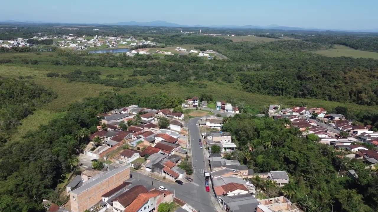 Registro SP -#meusonho #plantas #pineapple #caminhoparaumavidamelhor #caminhodaverdade