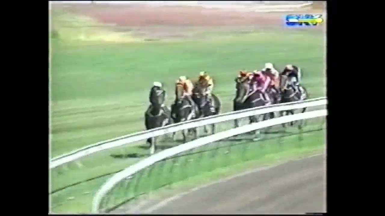 All the Group 1's in 2000 - Australian Thoroughbred Racing - Ft. Sunline, Tie The Knot, Testa Rossa