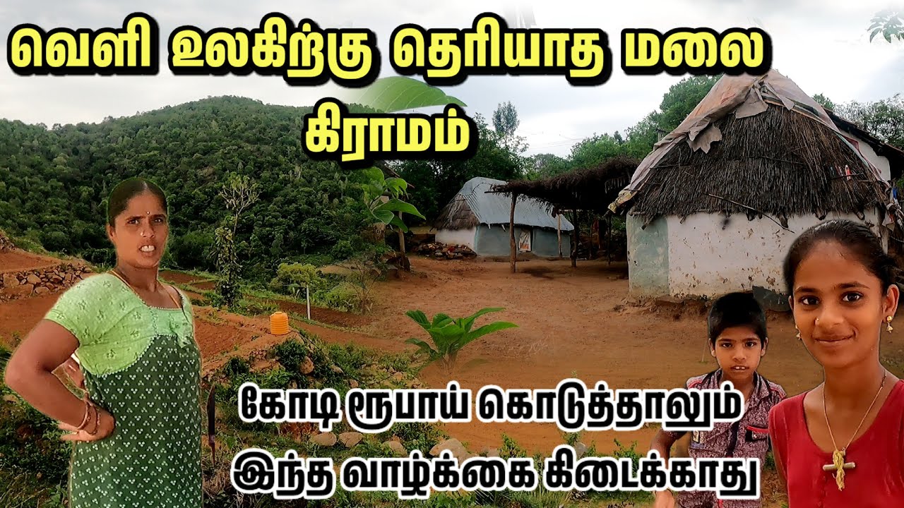 வெளி உலகம் அறியாத மலை கிராமம் | கோடி ரூபாய் கொடுத்தாலும் கிடைக்காத வாழ்க்கை | ஆலங்கடை மலை கிராமம் |