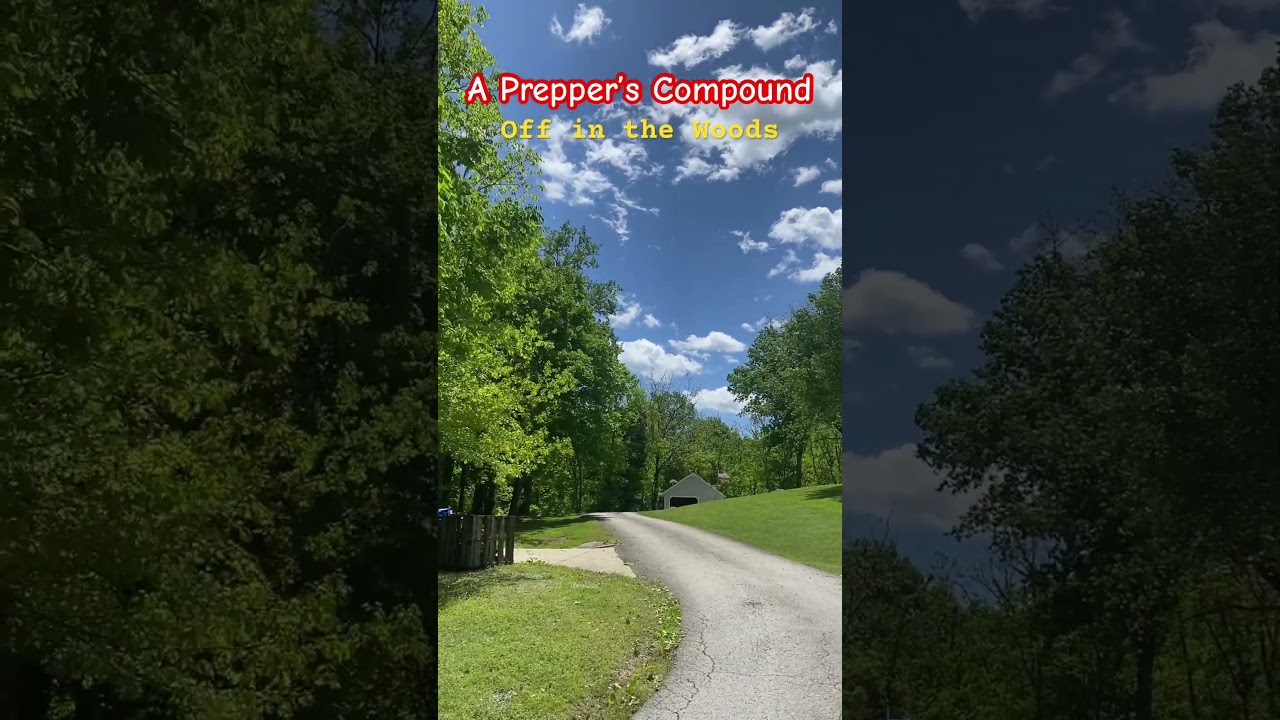 Prepping compound, remote and off in the woods. #prepperboss #offgrid #remotelocations