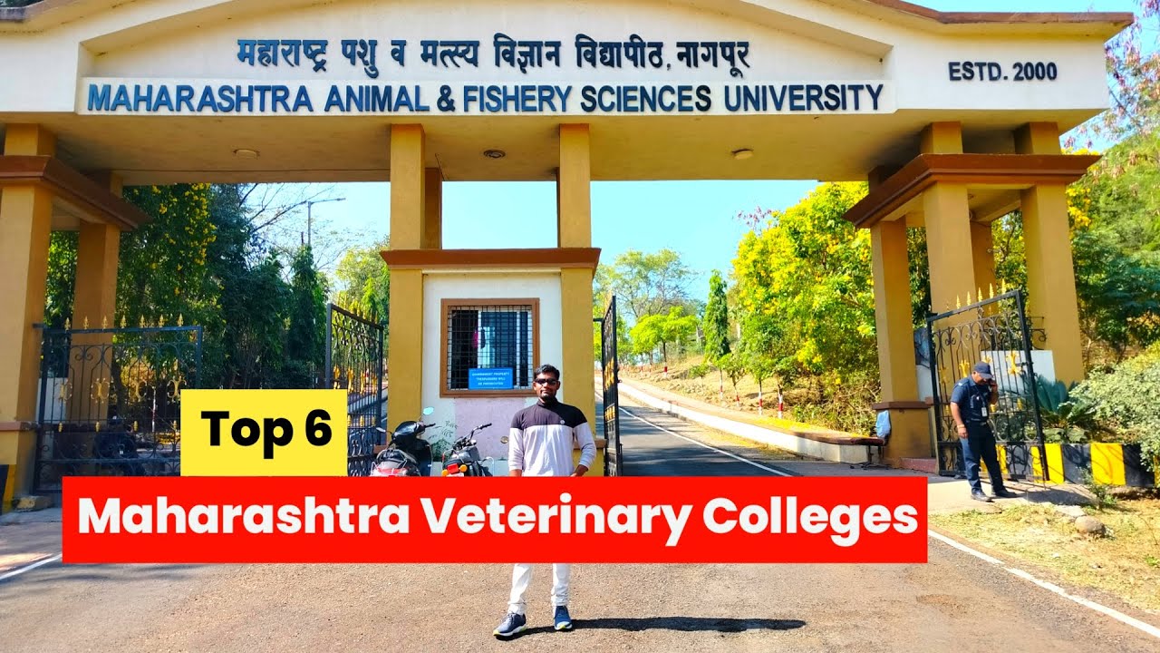 Maharashtra Veterinary Colleges || Top 6 Veterinary colleges in maharashtra