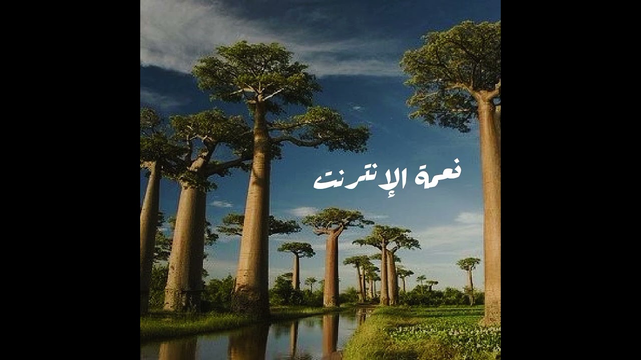 خطبة : نعمة الإنترنت