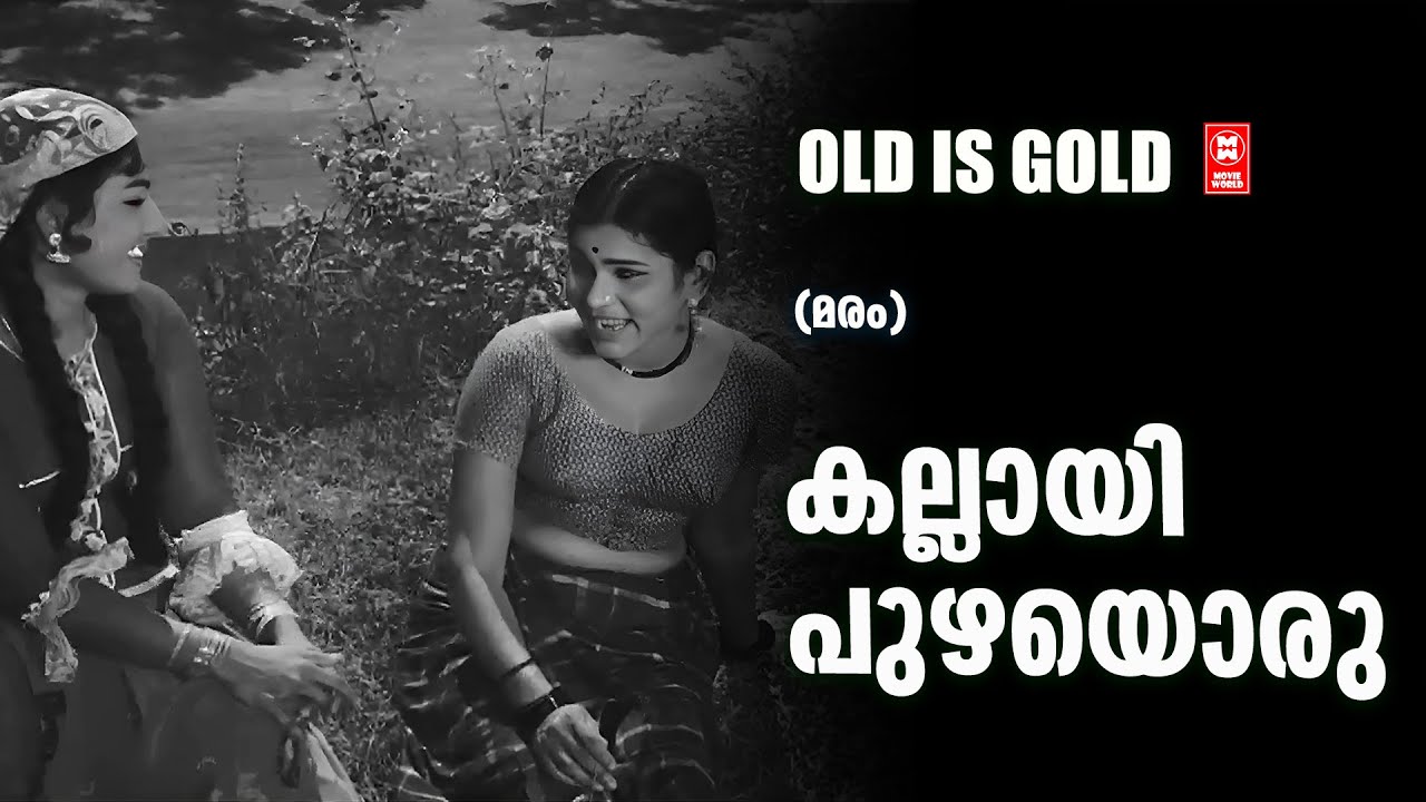 kallayippuzhayoru...... | Maram | P Susheela | Malayalam Old hit Song | Old Is Gold |