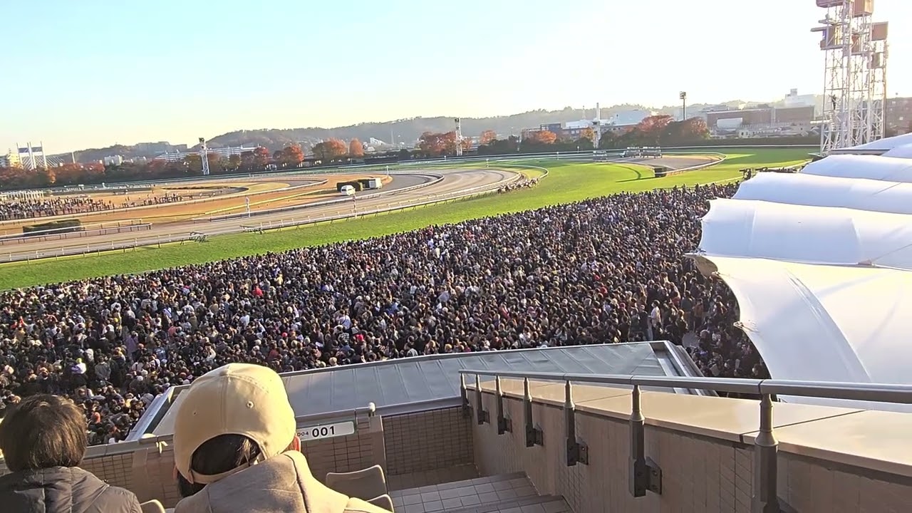 2025/11/30 第45回 ジャパンカップ(G1)　東京競馬場